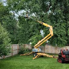 Lawn Maintenance Plans in Grand Forks Af, ND